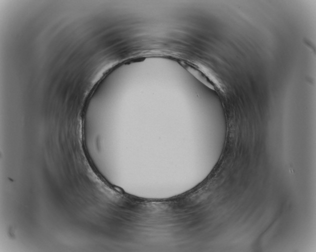 X0000096691476200803041251