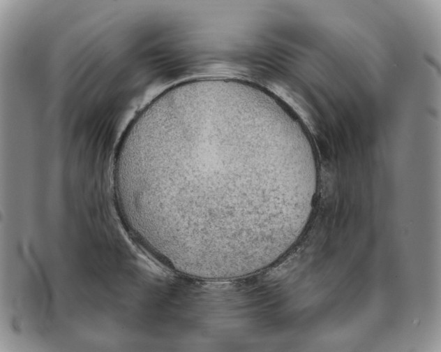 X0000096691477200803041251