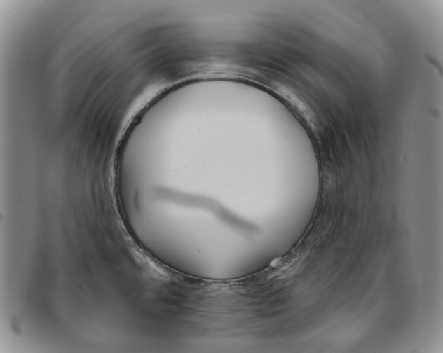 X0000096691480200803041251