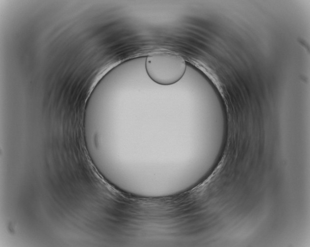 X0000096691481200803041251