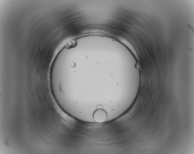 X0000096691482200803041251