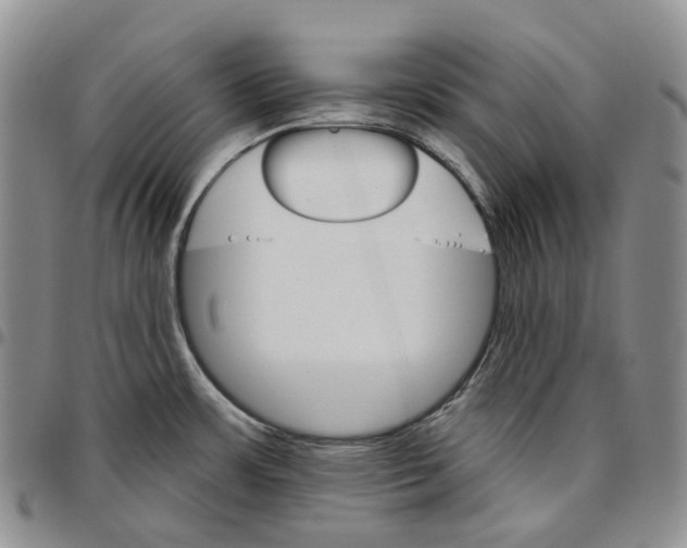 X0000096691483200803041251