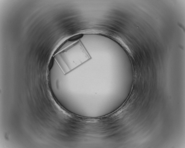 X0000096691484200803041251