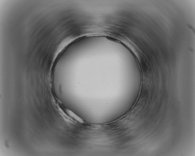 X0000096691485200803041251