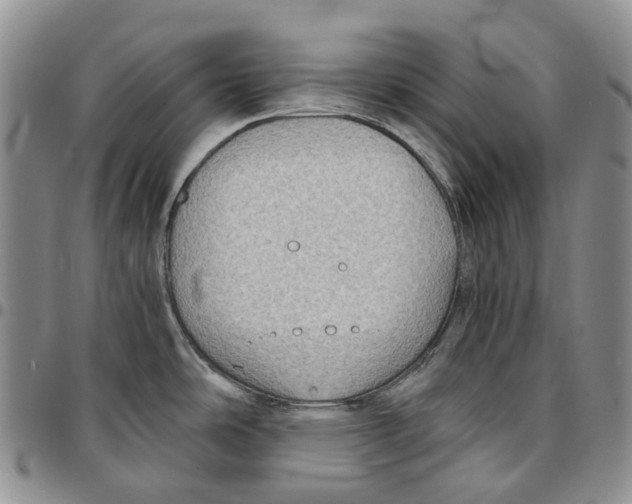 X0000096691486200803041251