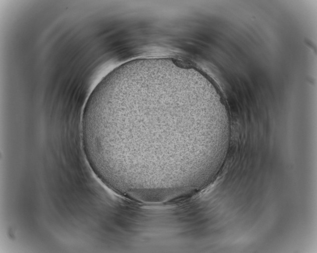 X0000096691487200803041251