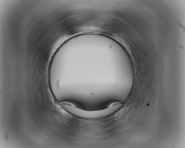 X0000096691488200803041251