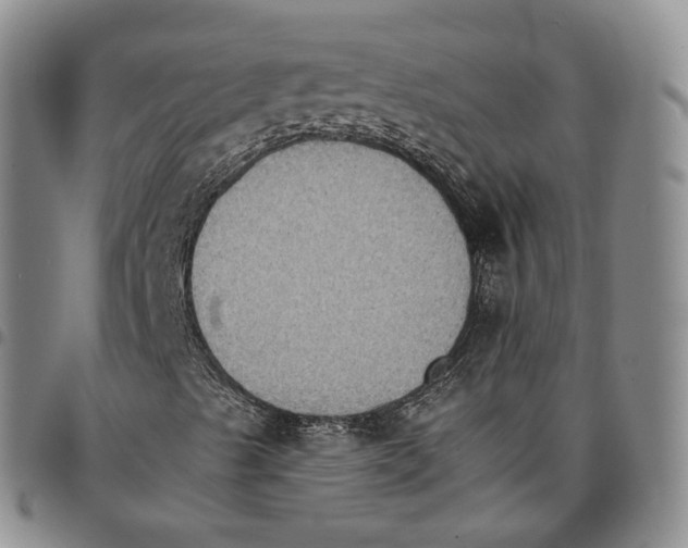 X0000096691489200803041250