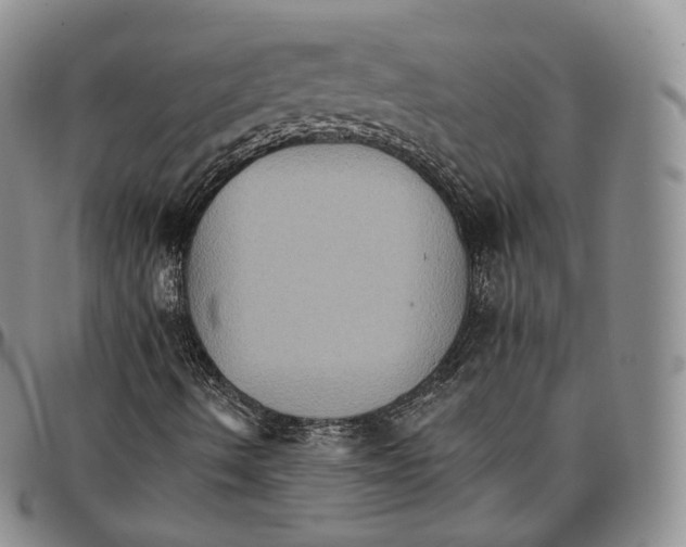 X0000096691490200803041250