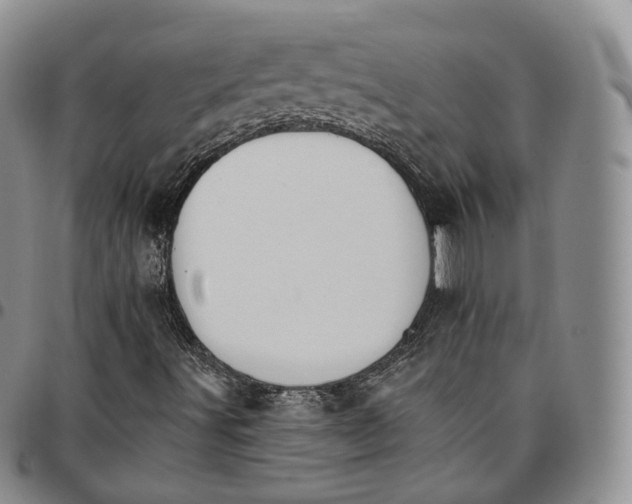 X0000096691491200803041250