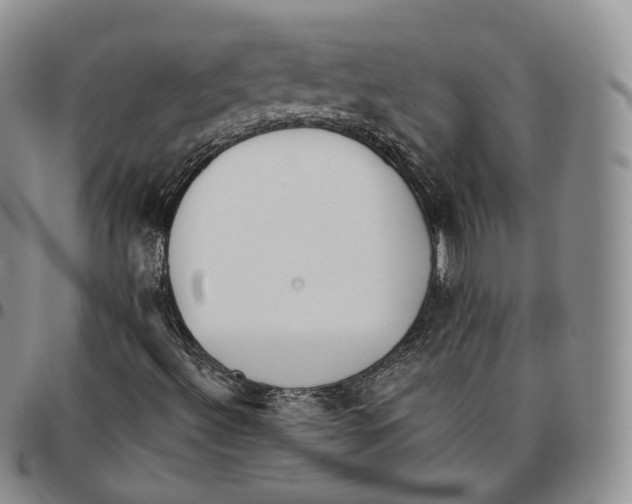 X0000096691492200803041250