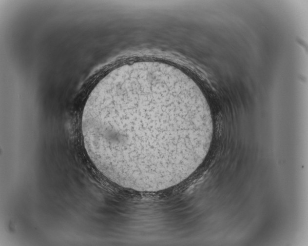 X0000096691494200803041250