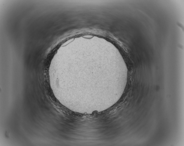 X0000096691496200803041250