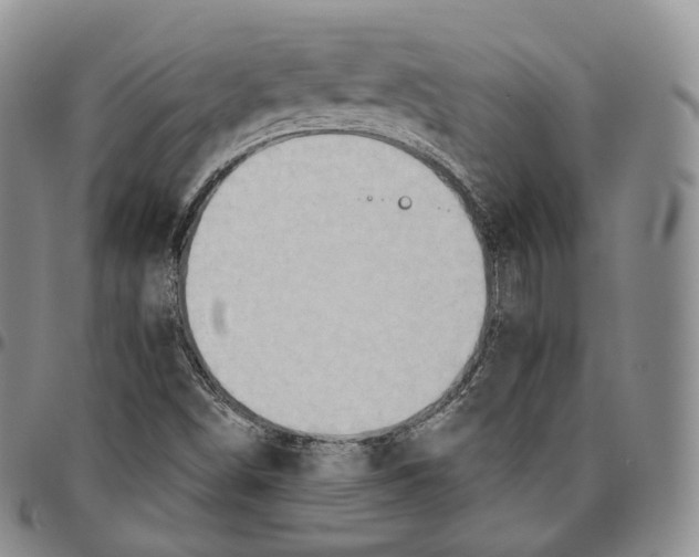 X0000096691498200803041250