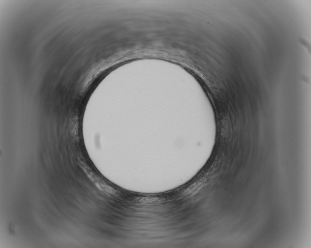 X0000096691499200803041250