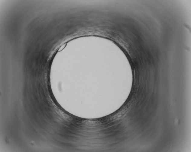 X0000096691500200803041250