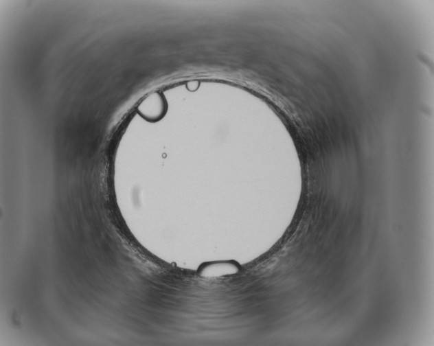 X0000096691502200803041250