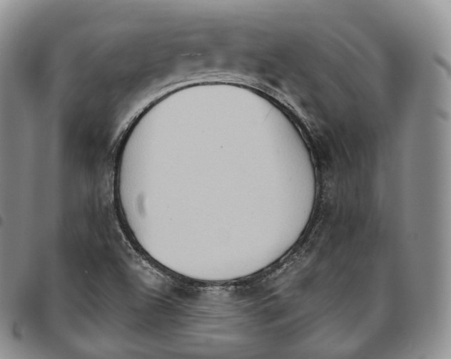 X0000096691504200803041250