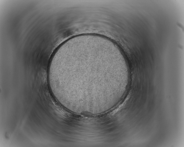 X0000096691505200803041250