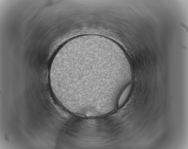 X0000096691507200803041250