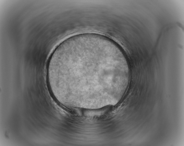 X0000096691508200803041250