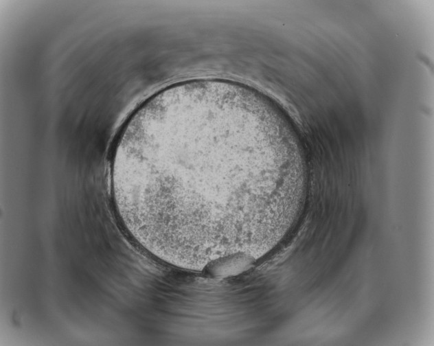 X0000096691509200803041250