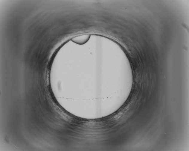 X0000096691510200803041250