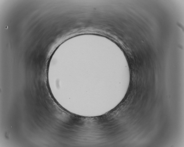 X0000096691512200803041250