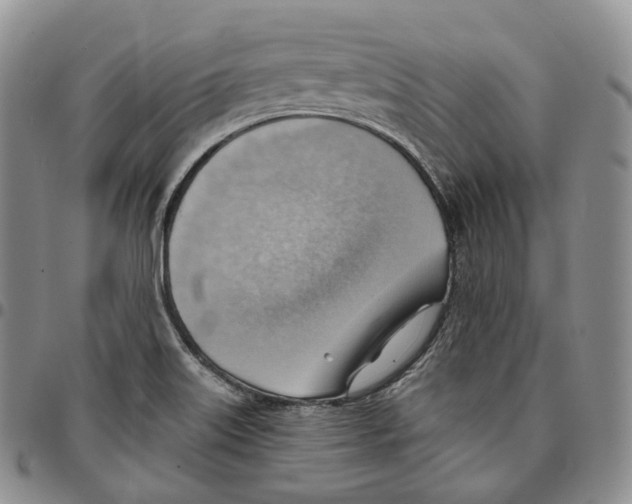 X0000096691515200803041250