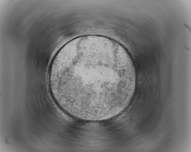 X0000096691517200803041250