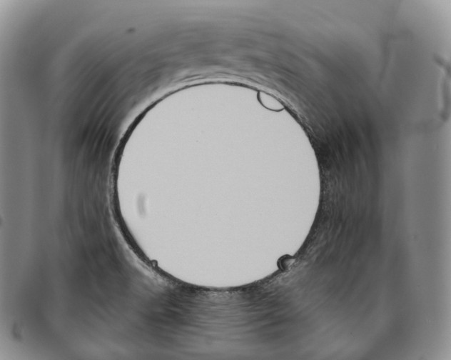 X0000096691518200803041250