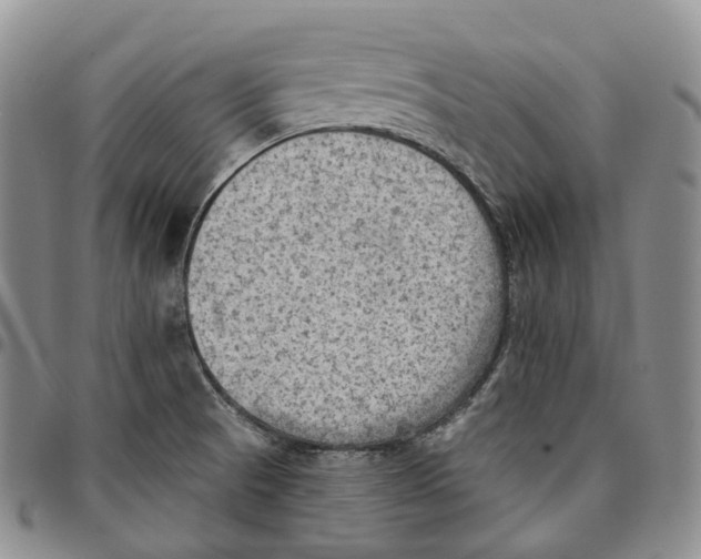 X0000096691521200803041250