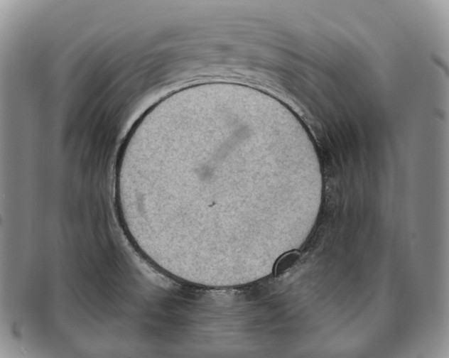 X0000096691523200803041250