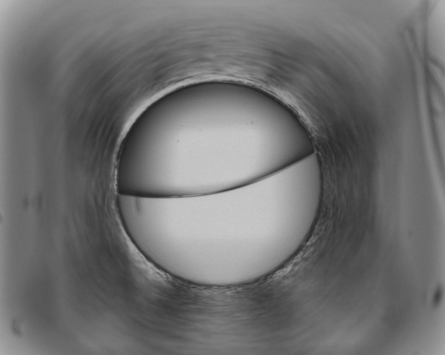 X0000096691524200803041250