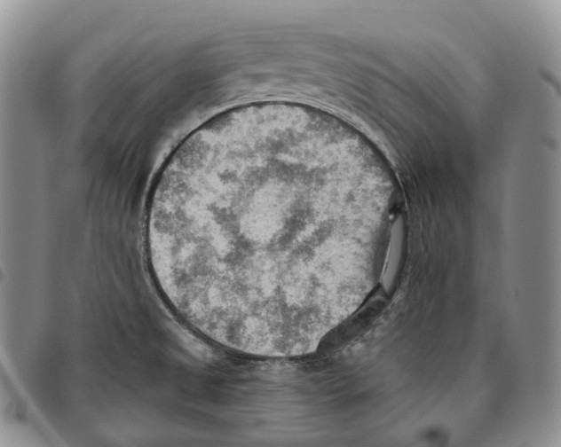 X0000096691525200803041250