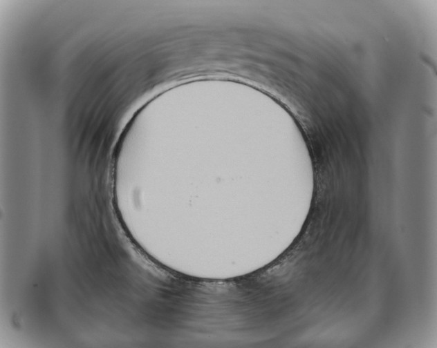 X0000096691526200803041250