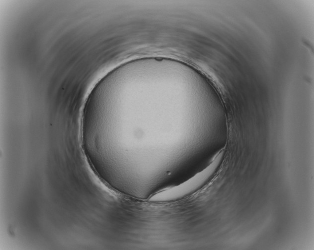 X0000096691528200803041250