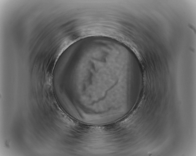 X0000096691529200803041250