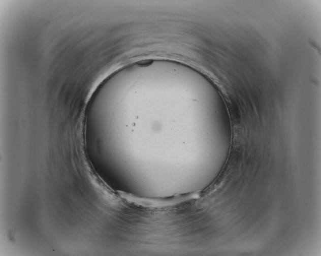 X0000096691530200803041250