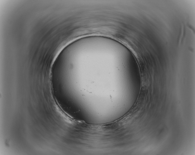 X0000096691532200803041250