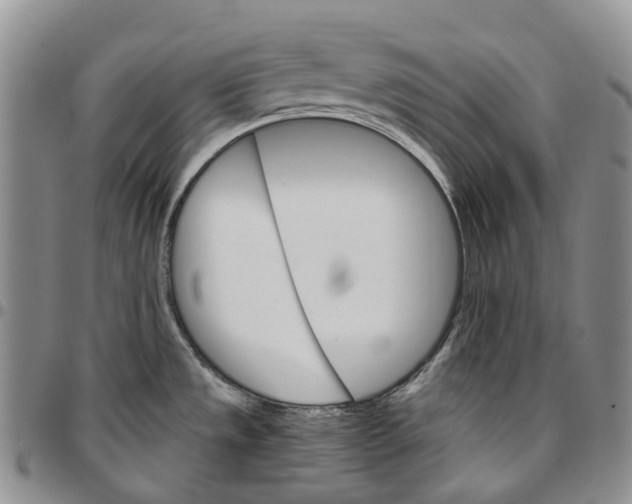 X0000096691533200803041250