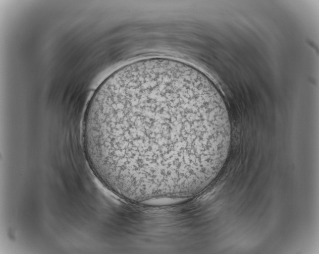 X0000096691535200803041250