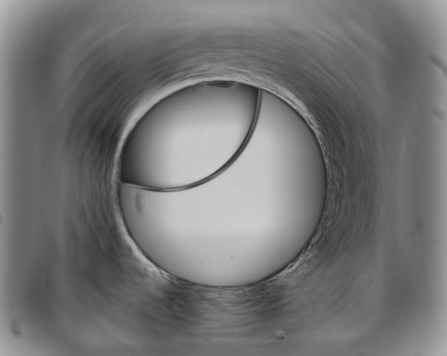 X0000096691536200803041250