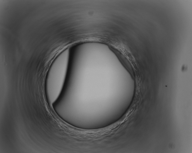 X0000096700001200802051112