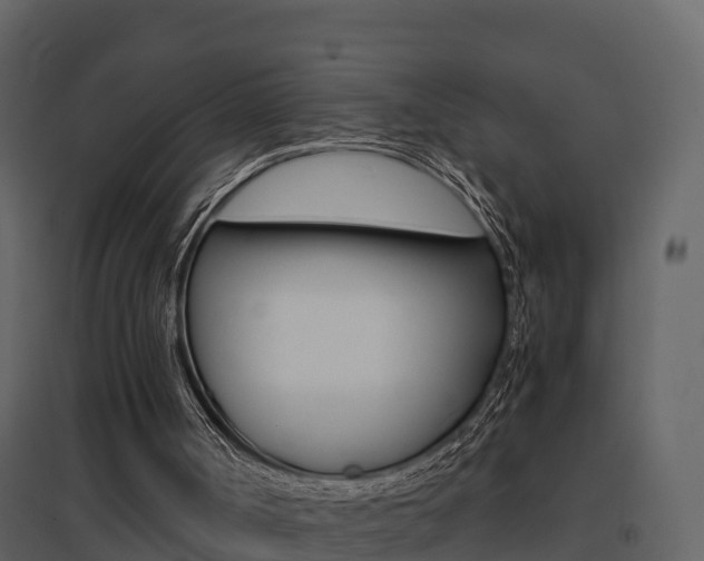 X0000096700002200802051112