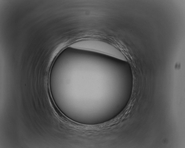 X0000096700003200802051112