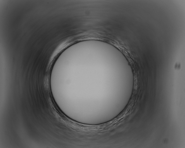 X0000096700004200802051112