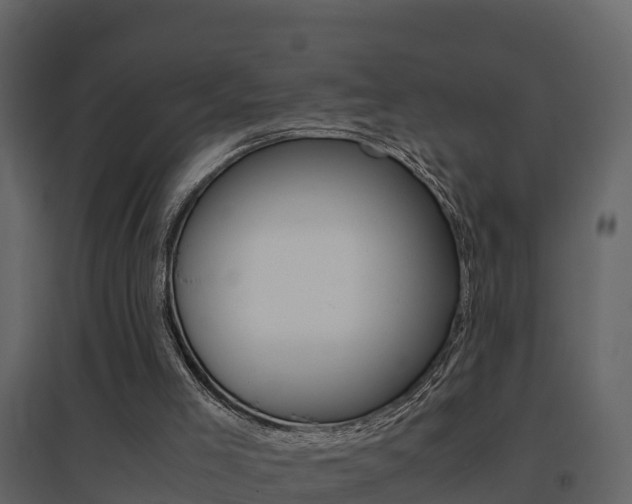 X0000096700005200802051112