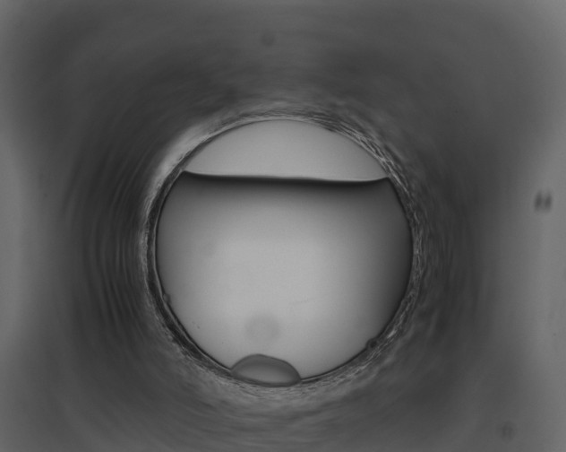 X0000096700006200802051112