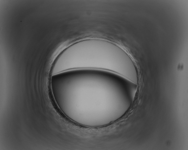 X0000096700007200802051112